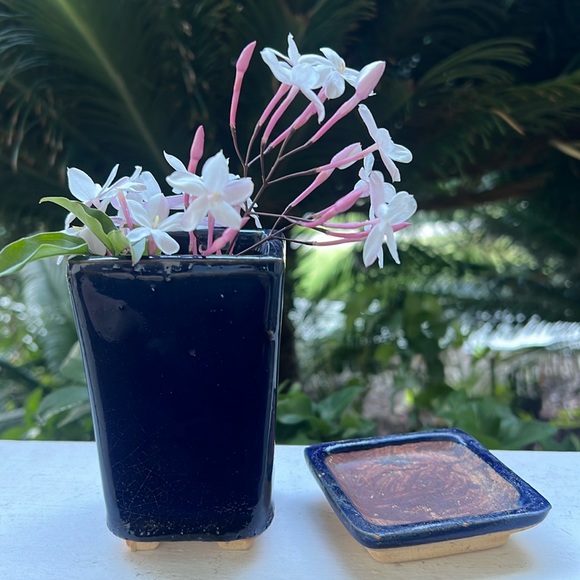 Vintage Glazed Ceramic Pot with Saucer - Picture 11 of 16